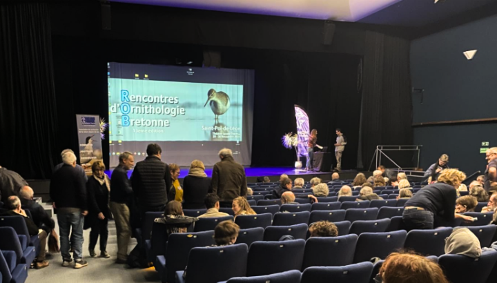 Retour sur les Rencontres d'Ornithologie Bretonne 2025